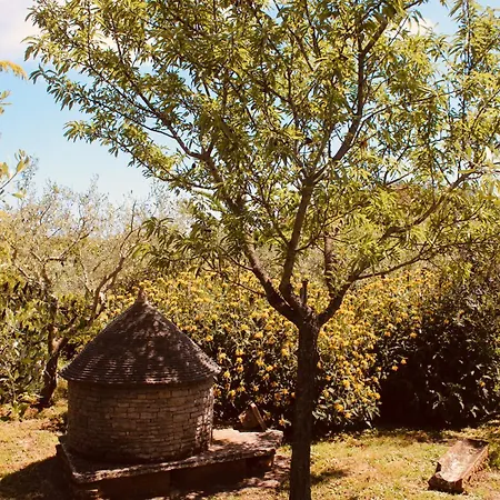 Casa Martina Daire Valtura